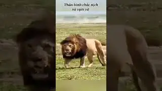 Massive Crater Male!