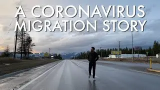 A Coronavirus Migration Story