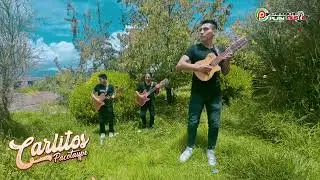 CARLITOS PACOTAYPE  //  TEMA: WAYCHU CABALLO