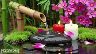 Insomnia Relief: Water Sounds & Sleep Music ✨ Fall Asleep Fast & Naturally