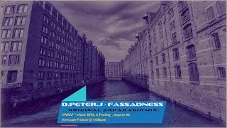 D.Peter.J - Fassadness (original ArpAdagio mix)