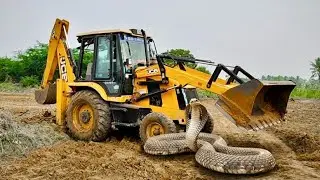 JCB 3DX Working for Coconut Leaf Natural Fertilizer Hole Filling Mud | Organic Farming ||jcb video