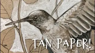 Coloring On TAN Toned Paper With Pastel Pencils--Downloadable Hummingbird!