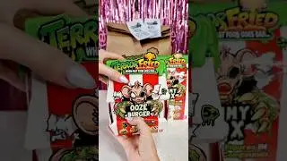 #shorts asmr Introducing Terrorfried - When Fast Food Goes BAD!!
