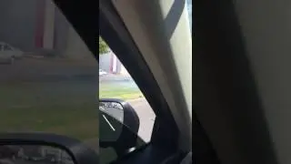 PALMERAS QUEMADAS , HERMOSILLO FUERA DE CONTROL?