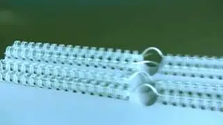 Tutorial how to change the mold for DWC-520 books double wire binding machine