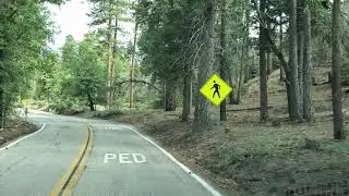 Jenks Lake rd drive Tuesday Aug 2 2022. Camp De Benneville Pines. No storm damage