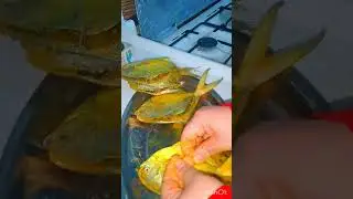 معلوكة سمك الزبيدي #طريقة بيبي وأمي،  اكله بصراويه #تراث #أهلنا