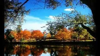 Passenger -- Golden Leaves (with lyrics)