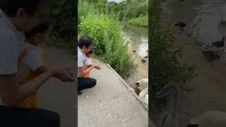 Baby Father Feeding Ducks #fun #baby #father #ducks #london