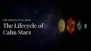 The Lifecycle of Calm Stars (From Nebula to White Dwarf, Explained Gently)