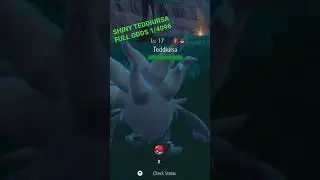 Full Odds Random Shiny Reaction!? 1/4056 chance!!!
