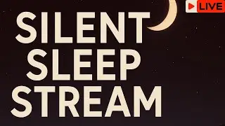 Join my Relaxing Stream | No Talking Join photo on screen#silentstream#bedianawalkerdoingsrecipes#