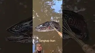 How Papuan Tribe Catch Fish in Indonesia