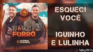 ESQUECI VOC&Ecirc; - Iguinho e Lulinha (&Aacute;udio Oficial)