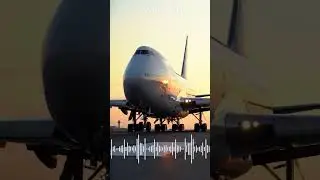 When calm meets chaos  Who wins the sky fight? #FunnyShorts #skycomedy #reels #airplane #funnyshorts