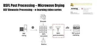 BSFL Post-processing - Microwave Drying - BSF Biowaste Processing e-learning video series