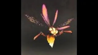 Draenor Safari: Swamplighter Firefly Battle Pet, Spires of Arak, WoW Retail