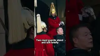 Royal Guards vs. Disrespectful Tourists: Shocking Moments