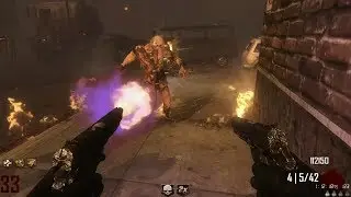 Black Ops 2 zombies Town Survival Flawless 50 run