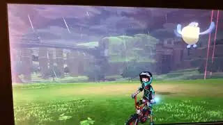 Pelipper cry