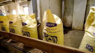 Omfed Product - Gold Cattle Feed