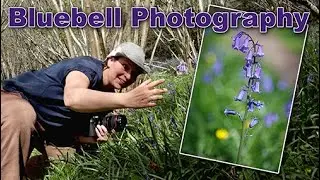 Capturing Bluebell Magic Spring Photography in the UK
