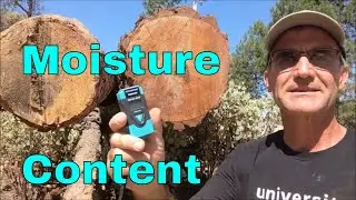 Calculating Moisture Content in Wood, Moisture Meter, Dry Basis