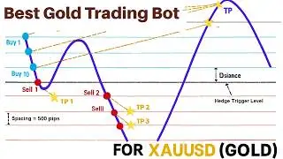 How to Create a Profitable Gold Trading Bot for MT4 & MT5 &ndash; No Coding Required
