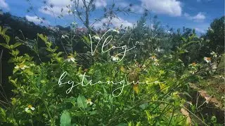 DALAT TRAVEL VLOG 🌵|| amidst 2020&rsquo;s turbulence || 👯&zwj;♀️✨