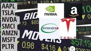 TIVC, GELS, OBLG, OBIO, PLTR, SLI, HOLO, MLGO, NVDA, SMCI, AAPL, TSLA, AMZN, GOOG & MSFT Stocks