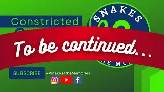 Final Episode of Constricted Content