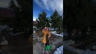 Remove dry Christmas tree branches from your property in MINUTES🌳✂️
