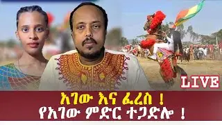 አገው እና ፈረስ ! የአገው ምድር ተጋድሎ !