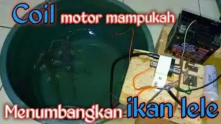 setrum ikan coil motor tes pada ikan