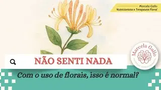 N&atilde;o Senti Nada com o Uso de Florais &ndash; Isso &eacute; Normal?