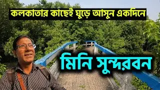 কলকাতার কাছেই একদিনে  ঘুড়ে আসুন মিনি সুন্দরবন  || Taki Golpata Forest || Taki tour 2024 ||