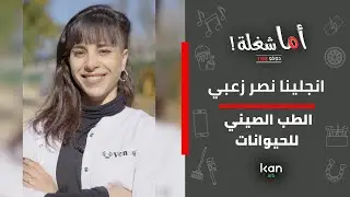 اما شغلة - علاج بالابر الصينية للحيوانات
