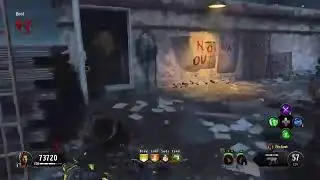 Bo4 Zombie Camo's farm