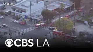 Tree trimmer falls and dies in Canoga Park