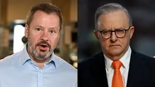 Ed Husic brings internal pressure for Albanese to recognise Palestinian state