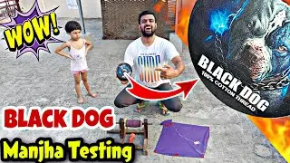 Black Dog Manjha Unboxing + Testing 💥 flying big kites 🪁 desi patangbaazi 🤩New Cotton Manjha in 2024