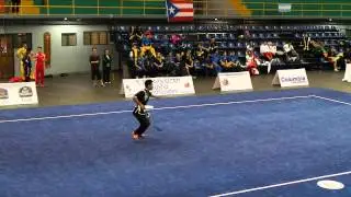 CANADA - Ryan Chan - Seniors DS - 10th Pan American Wushu Championships