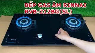 Bếp Gas &Acirc;m Rinnai RVB-212BG(SL)