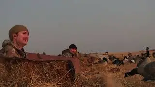 Epic Field Hunt Over Barley &mdash; Birds Everywhere! s2 E5