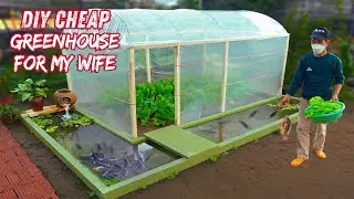 Low-cost DIY 2in1 greenhouse for my wife