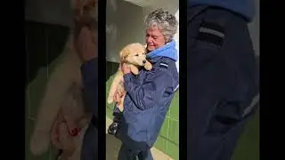 The Fluffy bunch looking for forever homes