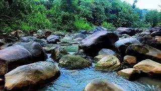 Deep Sleep River Sounds Flowing Gently Past Soft Sand and Polished River Rocks