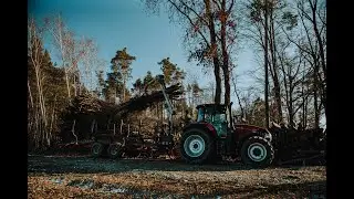 Sunny Day in Forest / Case Luxxum in Action