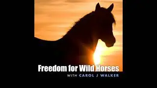 &rdquo;Voices Carry For Animals Podcast #506 - Freedom for Wild Horses
